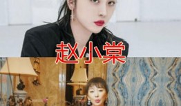 二姐爆料小诸葛视频在线观看,二姐爆料视频在线观看，精彩内容抢先看