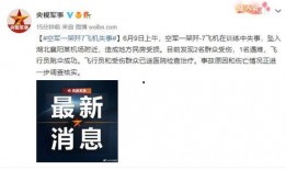 湖北网友爆料视频最新,惊人一幕，视频揭露惊人真相！